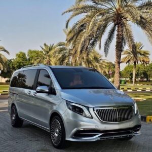 Luxury Mercedes Benz Viano - Silver Van