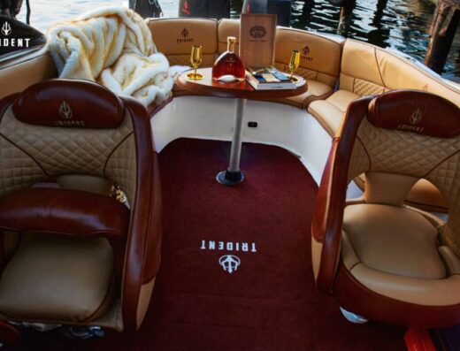 Luxury 15 Passenger Premium Cruise Boat