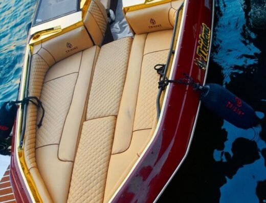 Luxury 7 Seater Boat – Love Boat