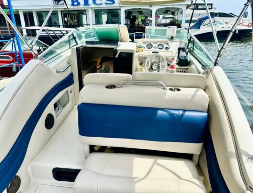 10 Seater Blue Vroom Cabin Cruise Boat