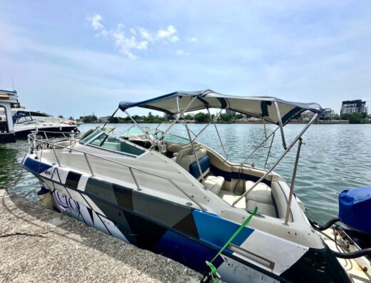 10 Seater Blue Vroom Cabin Cruise Boat