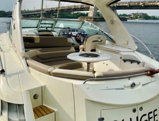 20 Passenger Premium Luxury Yacht – Boatcruise